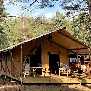 Camp Bursztynowy Kemp Gdaňsk